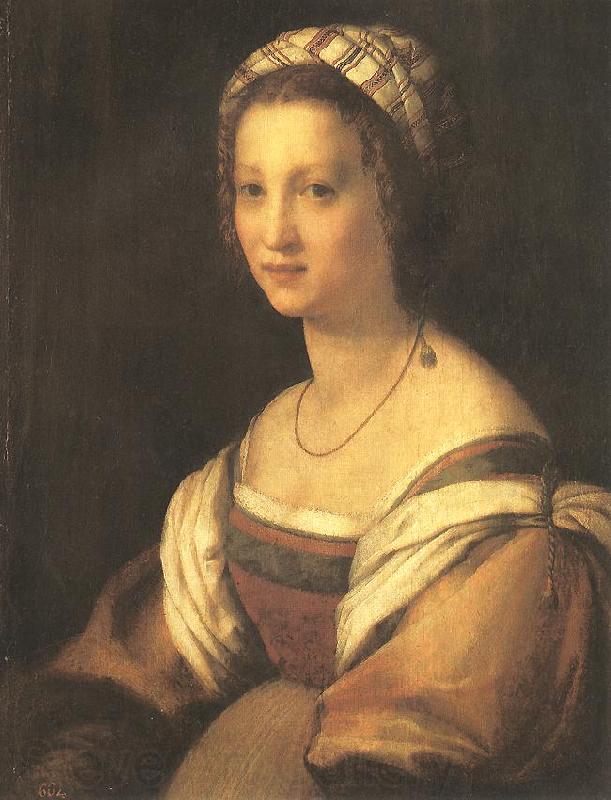 Andrea del Sarto Portrait of the Artist s Wife